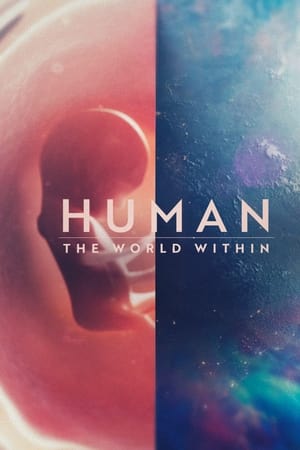 Dentro del cuerpo humano temporada 1